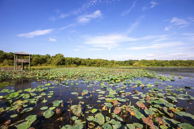 Sugar Land, Texas